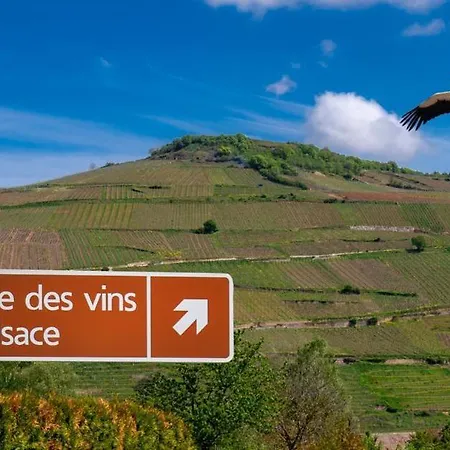 Le Strasbourgeois Appartement